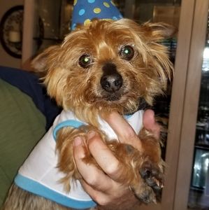 Meet your Posher, Oliver